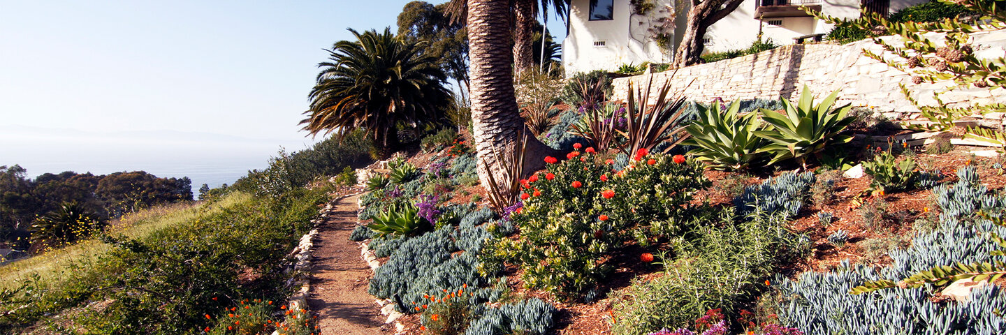 Graded Landscaped Garden
