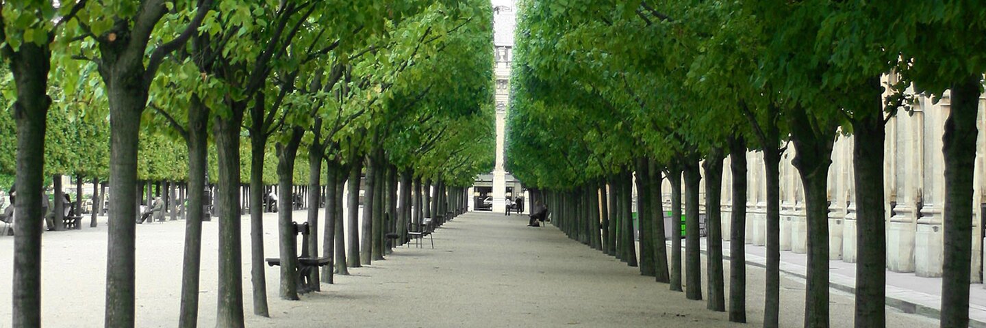 basic-arboricultural-practices-biolgyx492-67