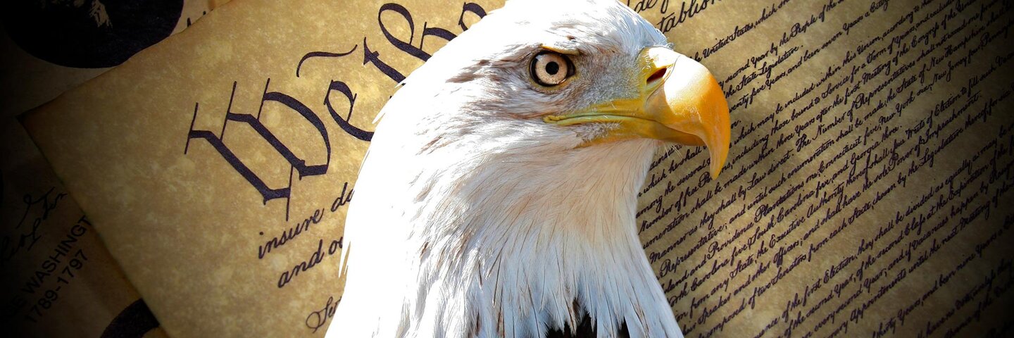 The head of a bald eagle with the declaration of independence in the background.