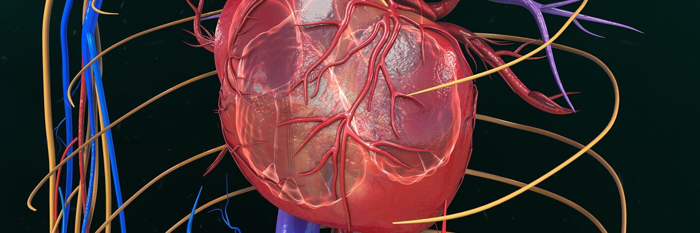 physiology-and-human-biology-lifescixl-7c