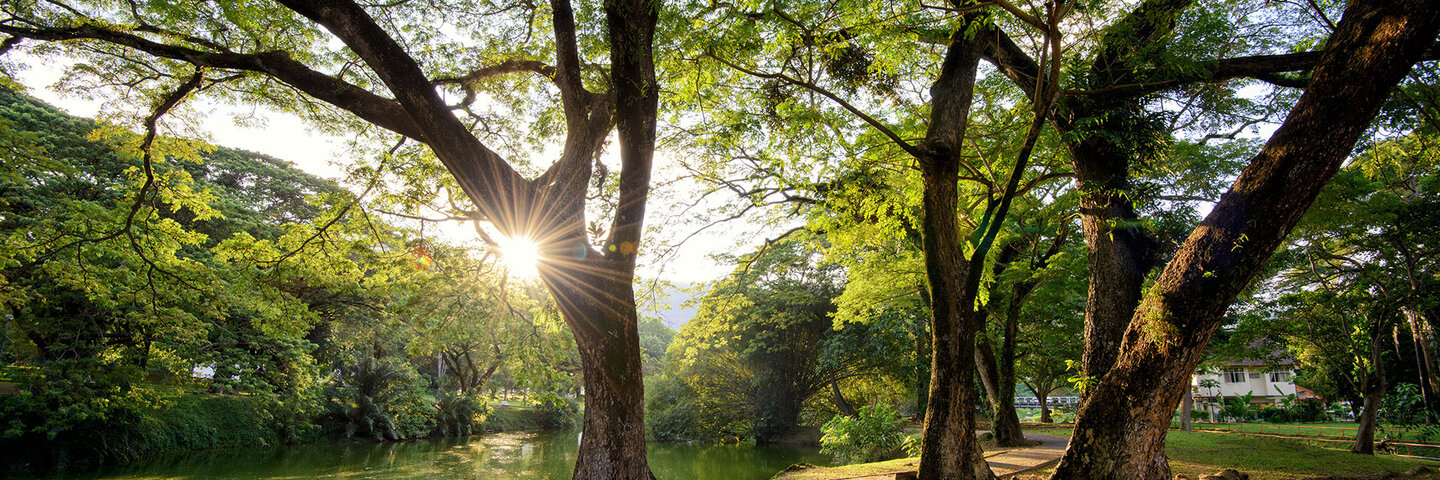 plant-materials-for-landscape-use-biolgyx499