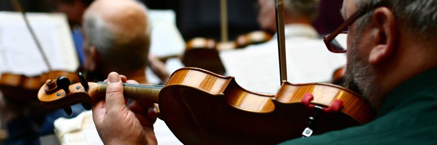 Strings section of an orchestra