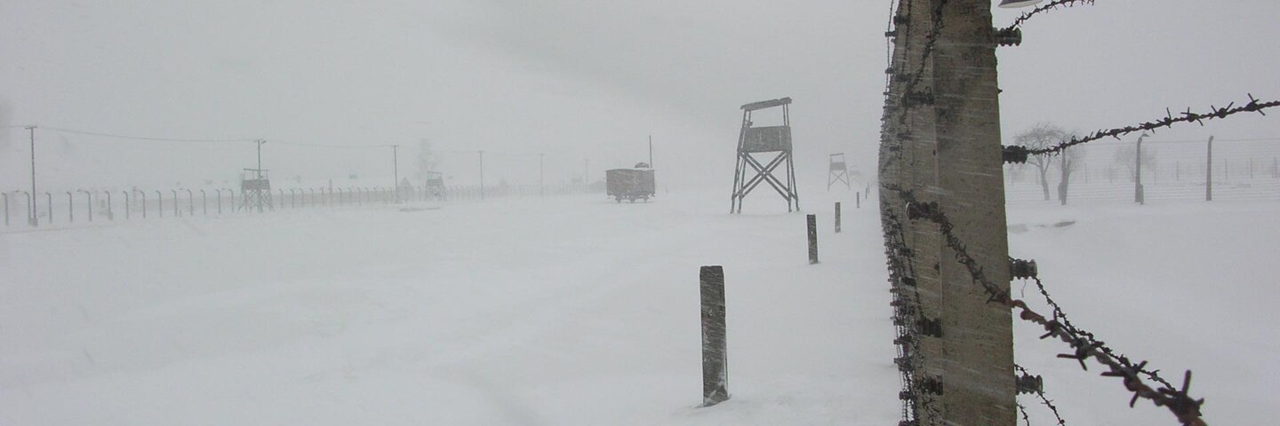 snowy holocaust camp