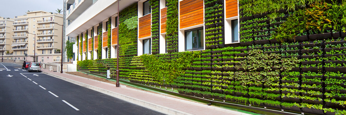 Landscape Architecture - Garden wall