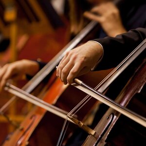 hands holding bows and playing the cello
