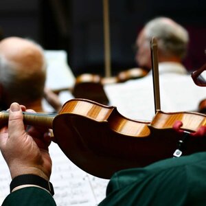Strings section of an orchestra
